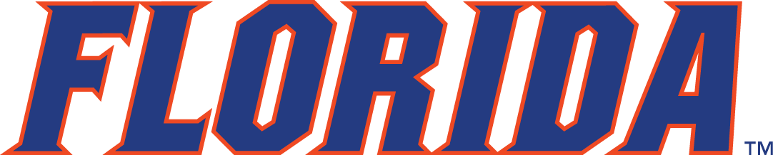 Florida Gators 2011-Pres Wordmark Logo v2 diy iron on heat transfer